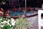Shore Haven Resort Inn